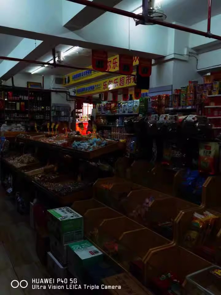 梓園大廈（勞動西路108號）法拍房-101