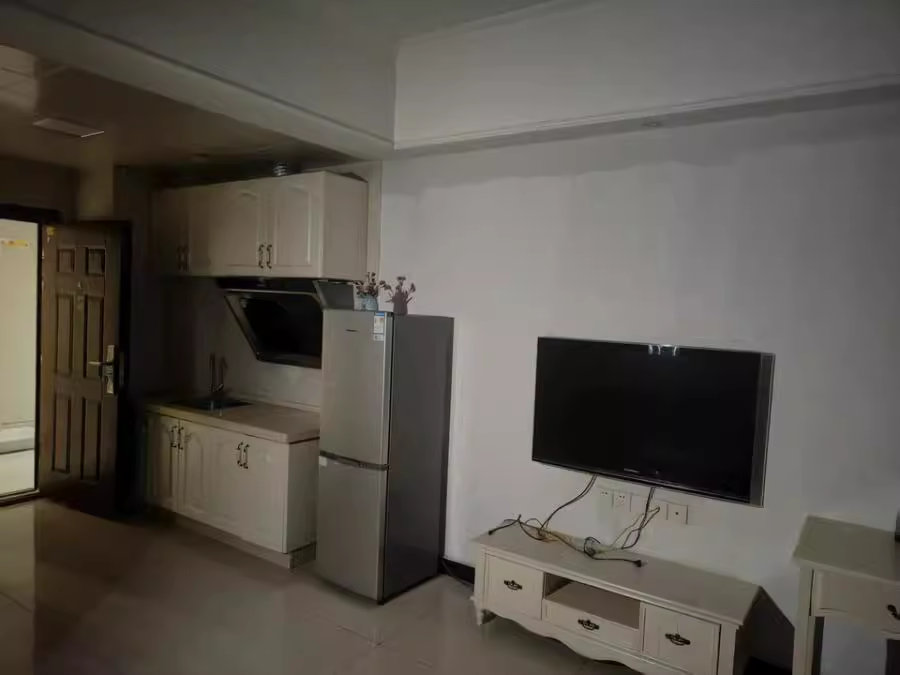 （雙學(xué)位）北辰三角洲奧城E4區(qū)法拍房4棟塔樓2011號(hào)房（建議等二拍 ）